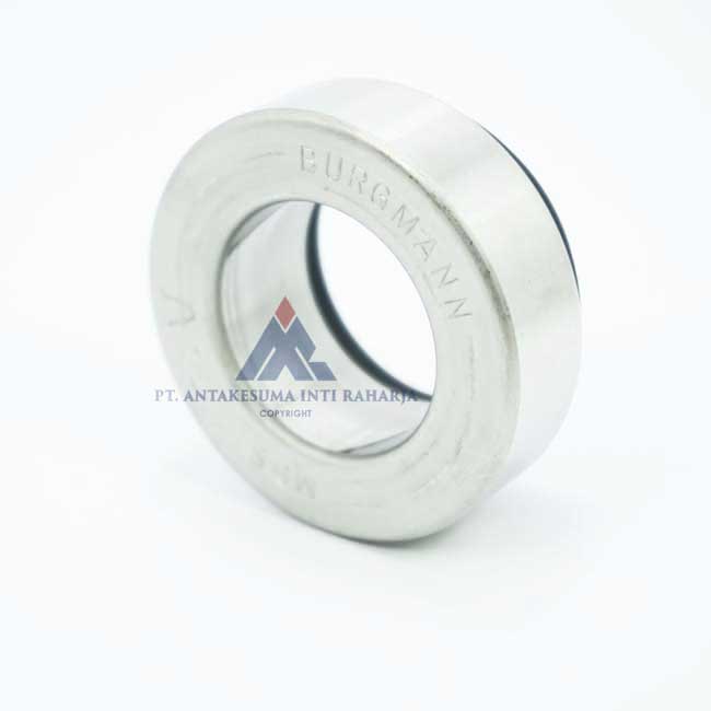 Mechanical Seal